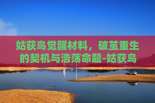 姑获鸟觉醒材料，破茧重生的契机与浩荡命题-姑获鸟技能