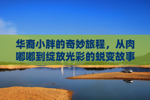 华裔小胖的奇妙旅程，从肉嘟嘟到绽放光彩的蜕变故事-华裔小胖子是什么美剧