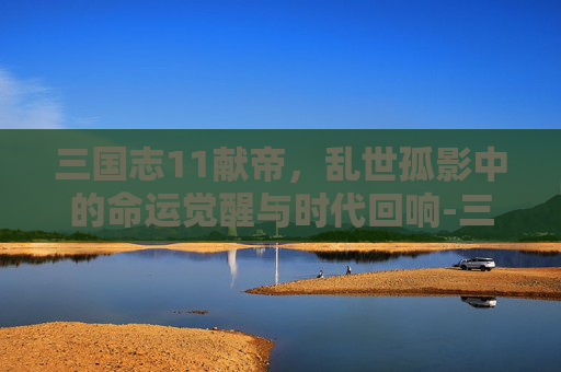三国志11献帝，乱世孤影中的命运觉醒与时代回响-三国志11献帝禅让条件