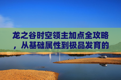 龙之谷时空领主加点全攻略，从基础属性到极品发育的要点解析-龙之谷时空领主加点图