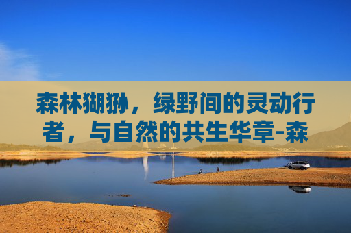 森林猢狲,绿野间的灵动行者,与自然的共生华章-森林猢狲声望怎么刷 森林猢狲,绿野间的灵动行者,与自然的共生华章-森林猢狲声望怎么刷