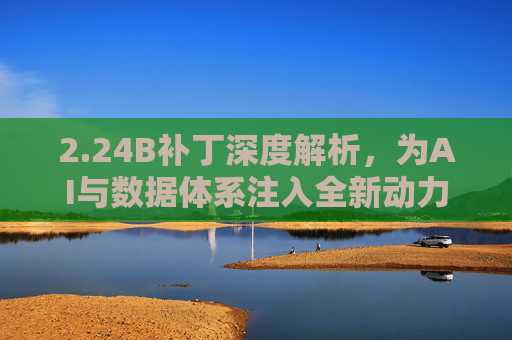 2.24B补丁深度解析，为AI与数据体系注入全新动力引擎-0X12B补丁