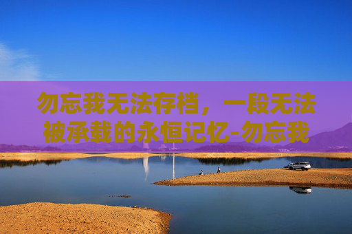 勿忘我无法存档，一段无法被承载的永恒记忆-勿忘我不能存档