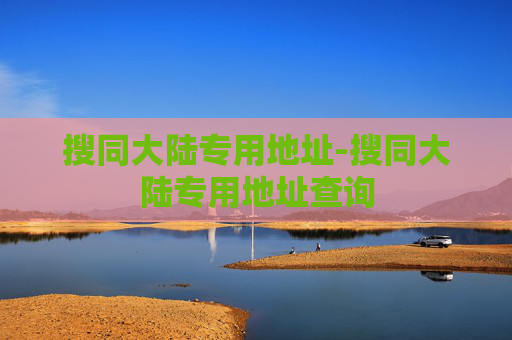 搜同大陆专用地址-搜同大陆专用地址查询