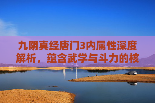 九阴真经唐门3内属性深度解析，蕴含武学与斗力的核心奥秘-九阴真经唐门二内属性
