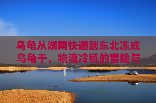 乌龟从湖南快递到东北冻成乌龟干,物流冷链的冒险与现实的悲剧-快递乌龟到家后步骤 乌龟从湖南快递到东北冻成乌龟干,物流冷链的冒险与现实的悲剧-快递乌龟到家后步骤