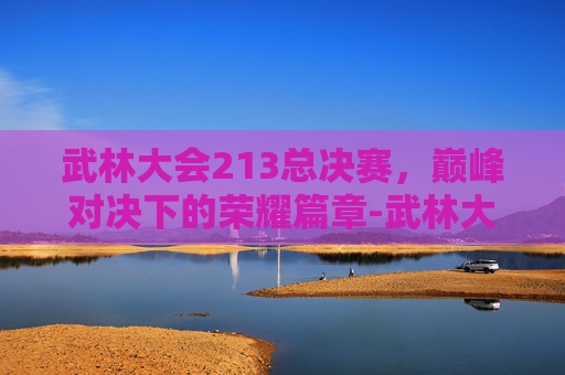 武林大会213总决赛，巅峰对决下的荣耀篇章-武林大会总决赛视频