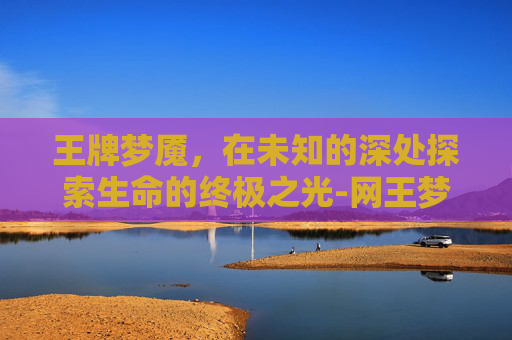 王牌梦魇，在未知的深处探索生命的终极之光-网王梦魇