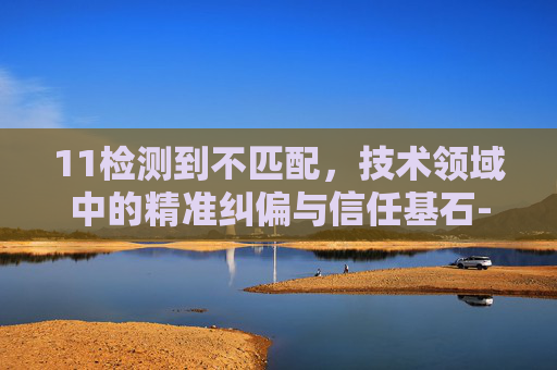 11检测到不匹配，技术领域中的精准纠偏与信任基石-11检测到不匹配时什么意思