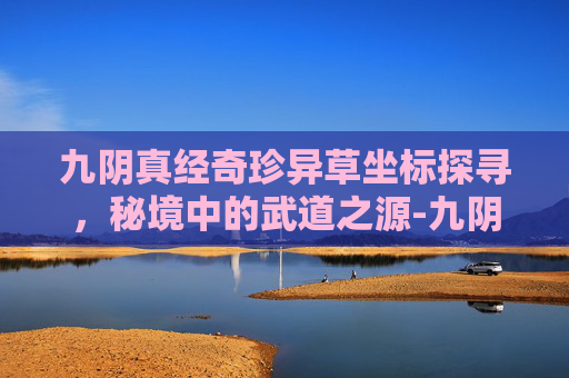 九阴真经奇珍异草坐标探寻，秘境中的武道之源-九阴真经奇珍异草位置