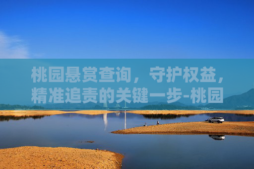 桃园悬赏查询,守护权益,精准追责的关键一步-桃园悬赏查询官网 桃园悬赏查询,守护权益,精准追责的关键一步-桃园悬赏查询官网