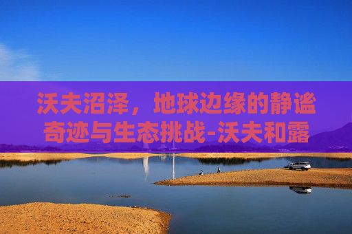 沃夫沼泽,地球边缘的静谧奇迹与生态挑战-沃夫和露西海滩 沃夫沼泽,地球边缘的静谧奇迹与生态挑战-沃夫和露西海滩