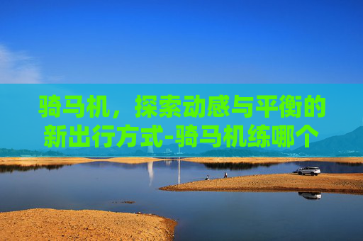 骑马机，探索动感与平衡的新出行方式-骑马机练哪个部位
