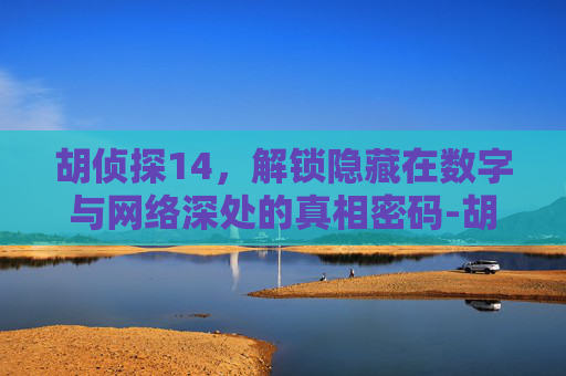 胡侦探14，解锁隐藏在数字与网络深处的真相密码-胡侦探14攻略