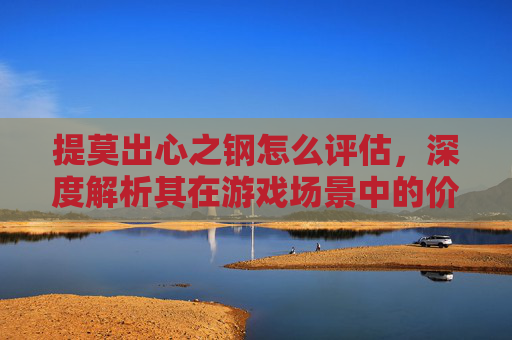 提莫出心之钢怎么评估，深度解析其在游戏场景中的价值与适用性-提莫出心之钢怎么样?
