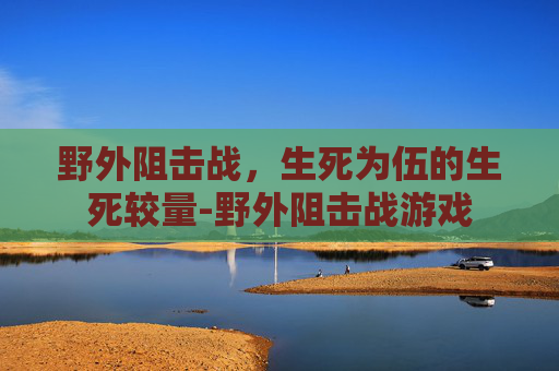 野外阻击战，生死为伍的生死较量-野外阻击战游戏