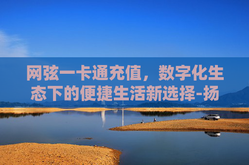 网弦一卡通充值，数字化生态下的便捷生活新选择-扬州一卡通网上充值