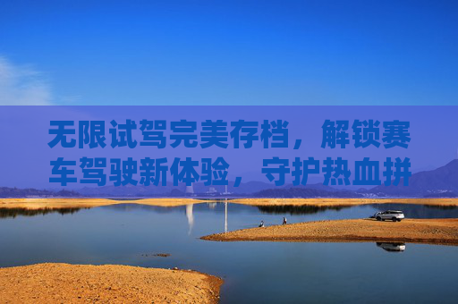 无限试驾完美存档，解锁赛车驾驶新体验，守护热血拼搏之旅-无限试驾完美存档版