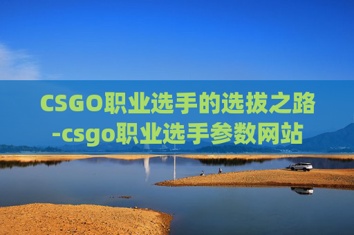 CSGO职业选手的选拔之路-csgo职业选手参数网站