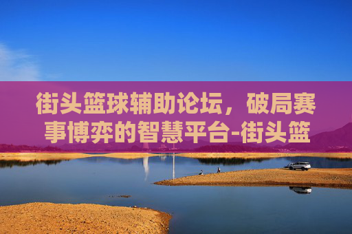 街头篮球辅助论坛，破局赛事博弈的智慧平台-街头篮球辅助论坛官网