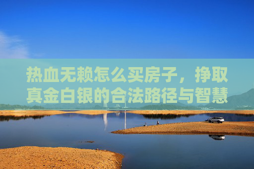 热血无赖怎么买房子,挣取真金白银的合法路径与智慧策略-热血无赖怎么买车 热血无赖怎么买房子,挣取真金白银的合法路径与智慧策略-热血无赖怎么买车