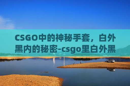 CSGO中的神秘手套，白外黑内的秘密-csgo里白外黑的手套叫什么