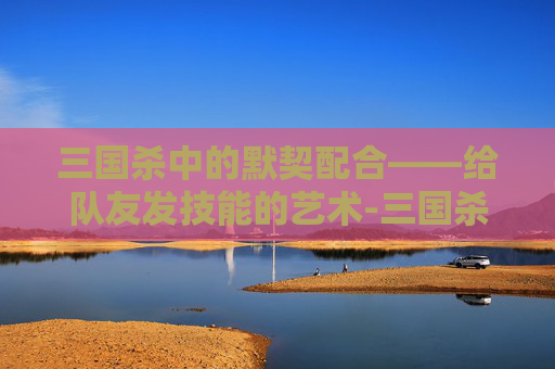 三国杀中的默契配合——给队友发技能的艺术-三国杀如何使用技能