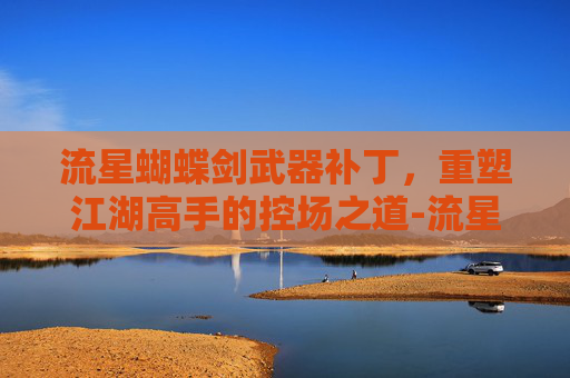 流星蝴蝶剑武器补丁，重塑江湖高手的控场之道-流星蝴蝶剑武器补丁代码
