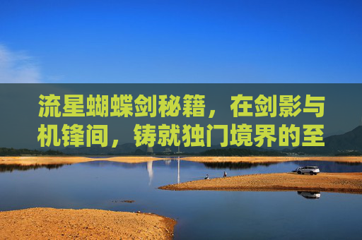 流星蝴蝶剑秘籍，在剑影与机锋间，铸就独门境界的至高之法-流星蝴蝶剑秘籍作弊码