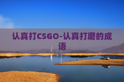 认真打CSGO-认真打磨的成语