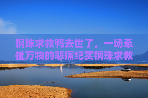 钢珠求救鸭去世了，一场牵扯万物的悲痛纪实钢珠求救鸭去世了，刺穿现实的悲剧遗证-钢珠吞进肚子了会怎样