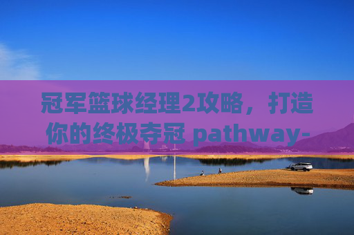冠军篮球经理2攻略，打造你的终极夺冠 pathway-冠军篮球经理2攻略大全