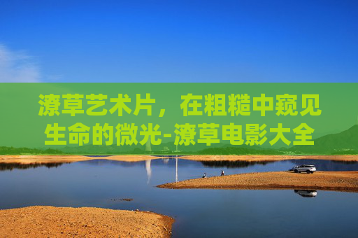 潦草艺术片,在粗糙中窥见生命的微光-潦草电影大全 潦草艺术片,在粗糙中窥见生命的微光-潦草电影大全