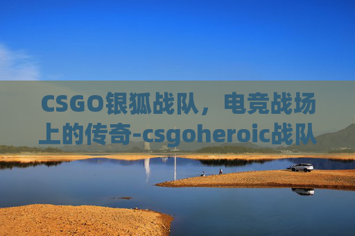 CSGO银狐战队，电竞战场上的传奇-csgoheroic战队