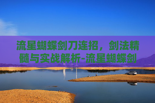 流星蝴蝶剑刀连招，剑法精髓与实战解析-流星蝴蝶剑刀连招大全