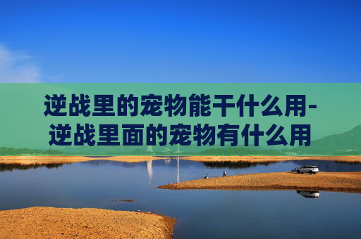 逆战里的宠物能干什么用-逆战里面的宠物有什么用