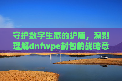 守护数字生态的护盾，深刻理解dnfwpe封包的战略意义与价值认知-dnfwpe封包工具
