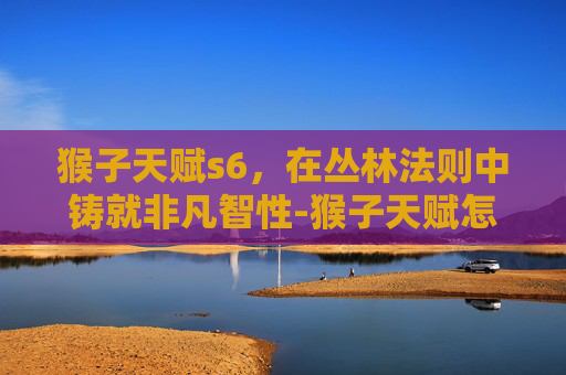 猴子天赋s6，在丛林法则中铸就非凡智性-猴子天赋怎么点