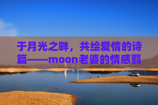 于月光之畔，共绘爱情的诗篇——moon老婆的情感羁绊-moon老婆哪里人