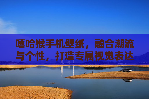 嘻哈猴手机壁纸，融合潮流与个性，打造专属视觉表达-嘻哈猴手机壁纸高清