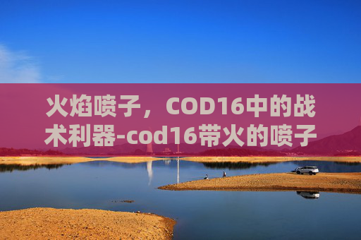 火焰喷子，COD16中的战术利器-cod16带火的喷子