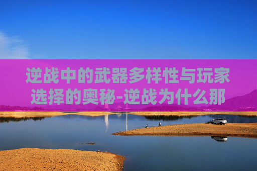 逆战中的武器多样性与玩家选择的奥秘-逆战为什么那么多武器卖不了 逆战中的武器多样性与玩家选择的奥秘-逆战为什么那么多武器卖不了