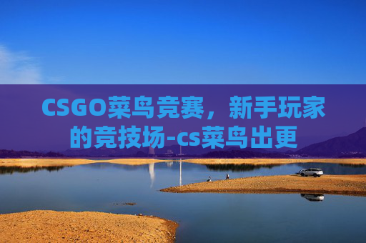 CSGO菜鸟竞赛,新手玩家的竞技场-cs菜鸟出更 CSGO菜鸟竞赛,新手玩家的竞技场-cs菜鸟出更