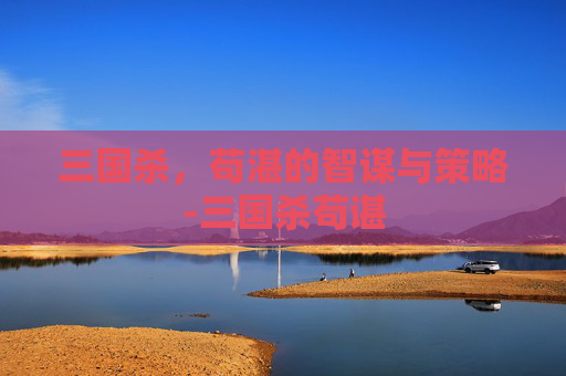 三国杀，苟湛的智谋与策略-三国杀苟谌