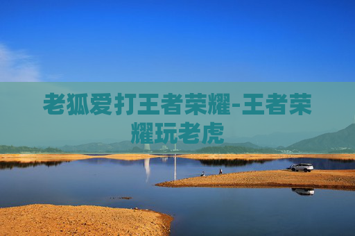 老狐爱打王者荣耀-王者荣耀玩老虎