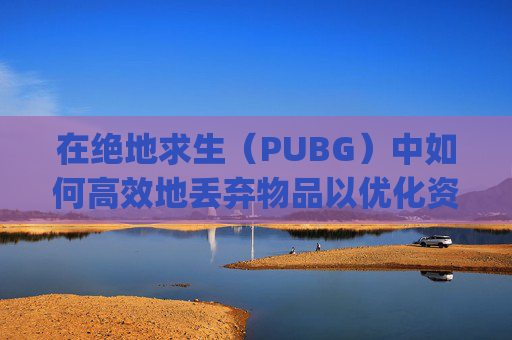 在绝地求生（PUBG）中如何高效地丢弃物品以优化资源分配-pubg丢东西怎么选择数量