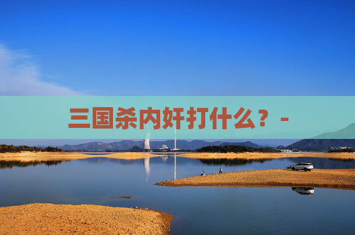 三国杀内奸打什么？-