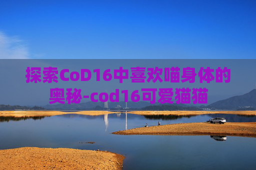 探索CoD16中喜欢喵身体的奥秘-cod16可爱猫猫