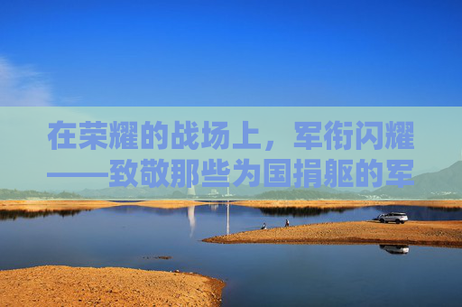 在荣耀的战场上，军衔闪耀——致敬那些为国捐躯的军人-cf军衔前面的图标