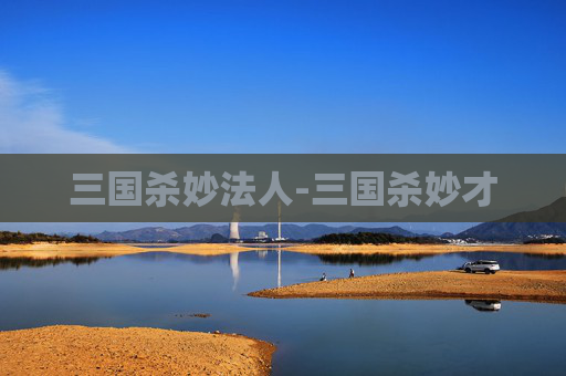 三国杀妙法人-三国杀妙才 三国杀妙法人-三国杀妙才